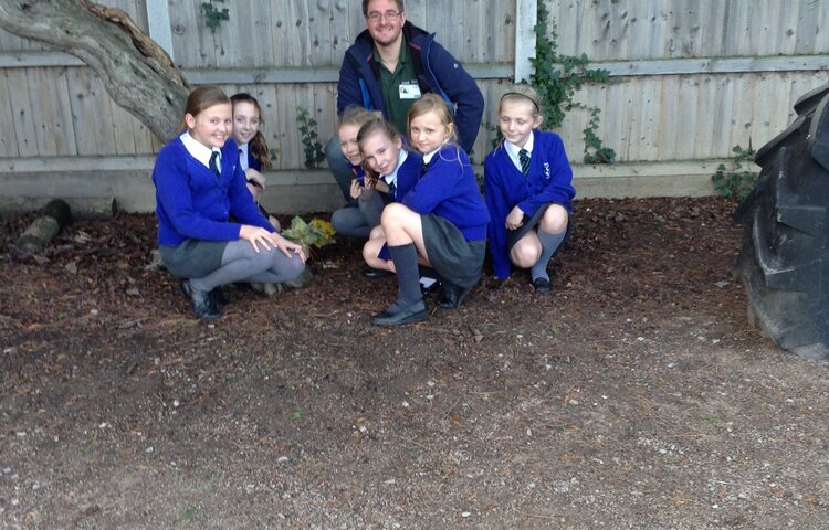 Image of Environment Club - Feed the birds and animals this winter.