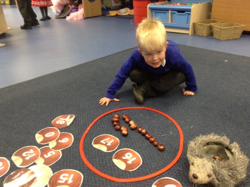 Image of Conker Counting