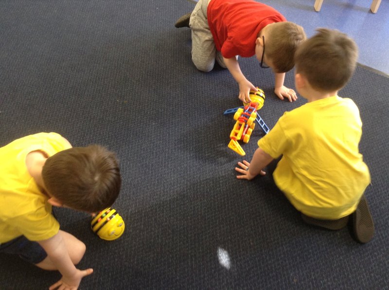 Image of Programming the Beebots 